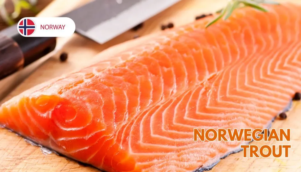 Norwegian Trout